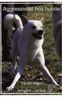 Agressivitet Hos Hunde