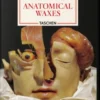 Anatomical Waxes. 45Th Ed