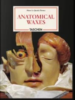 Anatomical Waxes. 45Th Ed