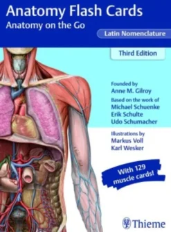 Anatomy Flash Cards: Anatomy On The Go