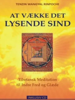 At Vække Det Lysende Sind