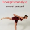 Bevægelsesanalyse - Anvendt Anatomi