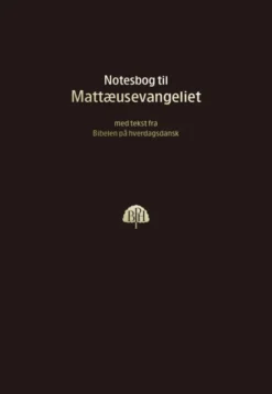 Bibelnotesbog 1, Matthæusevangeliet