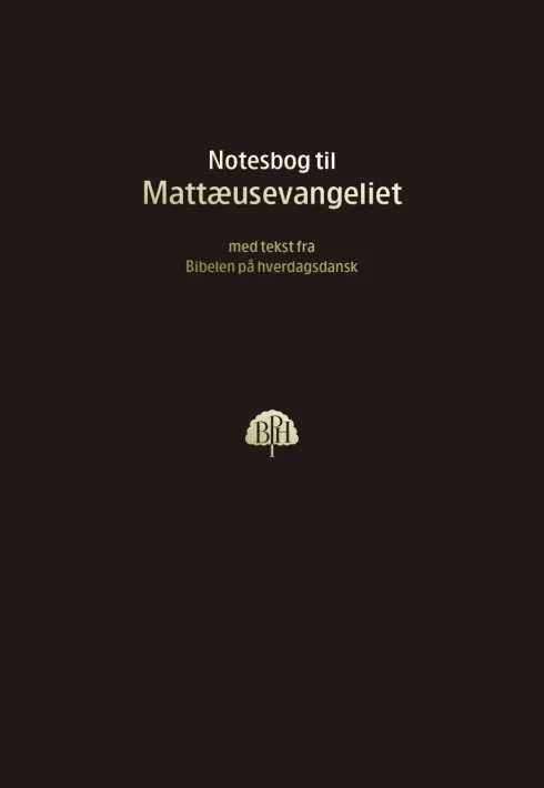 Bibelnotesbog 1, Matthæusevangeliet