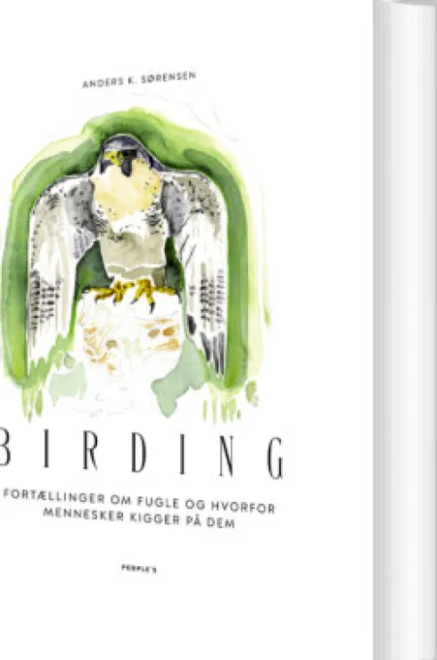 Birding