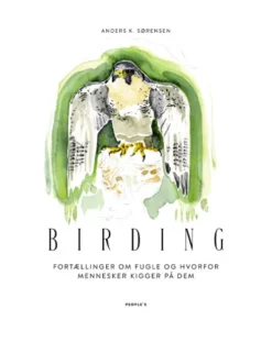 Birding