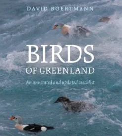 Birds Of Greenland
