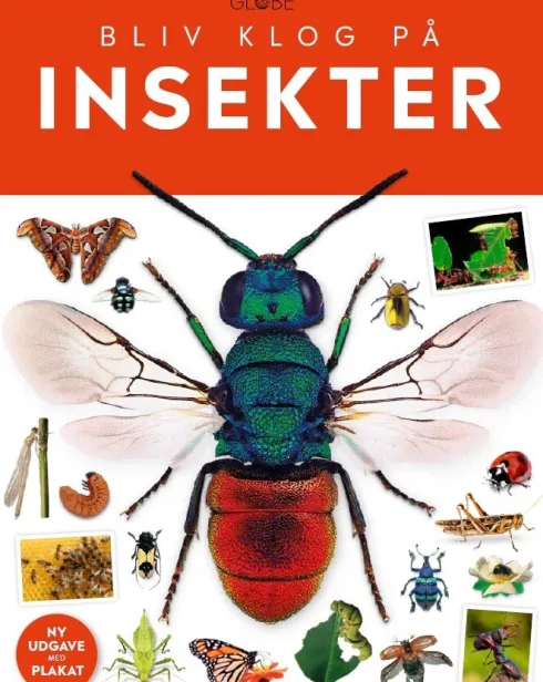 Bliv Klog På Insekter