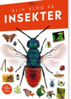 Bliv Klog På Insekter