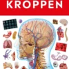 Bliv Klog På Kroppen