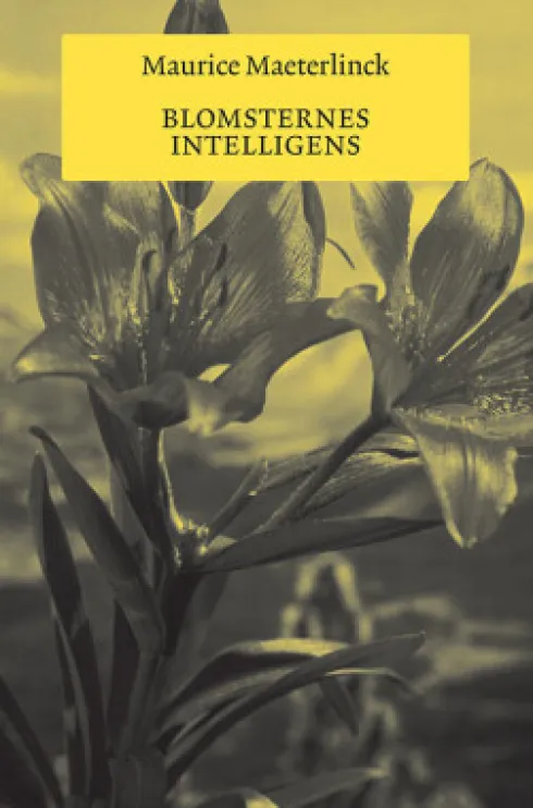 Blomsternes Intelligens