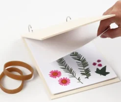 Blomsterpresser - D 1 CM - L 21 CM - B 14,8 CM - 1 Stk