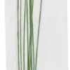 Blomsterstængel - L 30 CM - Ø 0,6 MM - Grøn - 20 Stk