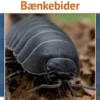 Bænkebider
