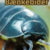 Bænkebider