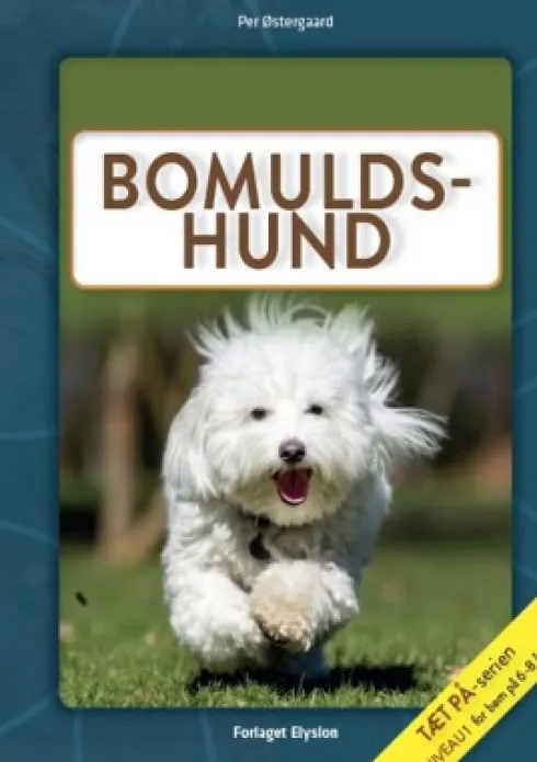 Bomulds-Hund