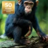 Bradt - Uganda