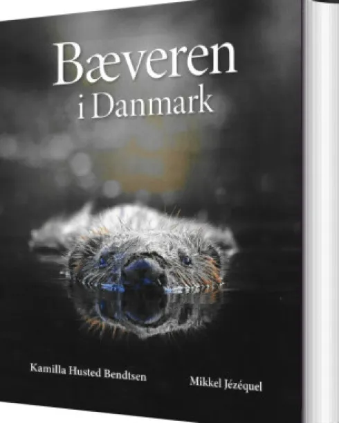 Bæveren I Danmark