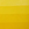 Charbonnel - Printing Ink Blæk - Deep Yellow 60 ML