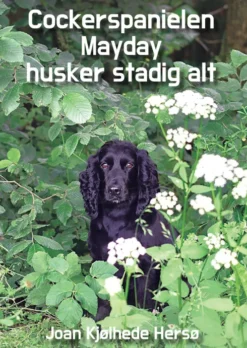 Cockerspanielen Mayday Husker Stadig Alt
