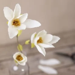 Crepepapir Til DIY Blomster - 8 Pastelfarver