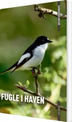 Danmarks Natur Fugle I Haven
