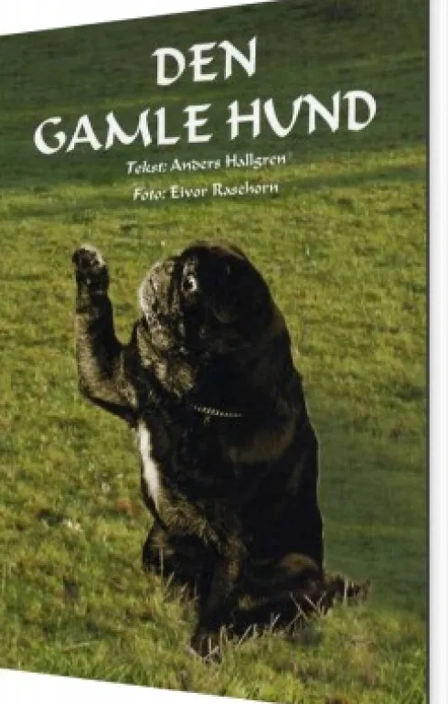 Den Gamle Hund