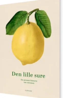 Den Lille Sure