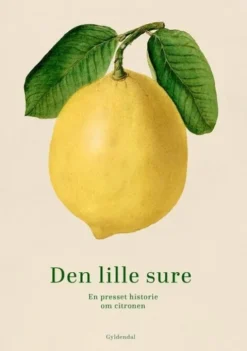 Den Lille Sure