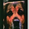 Den Misforståede Hund
