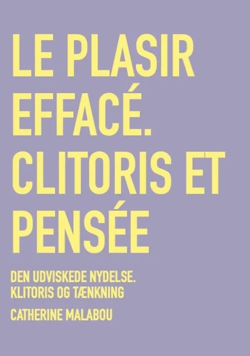 Den Udviskede Nydelse