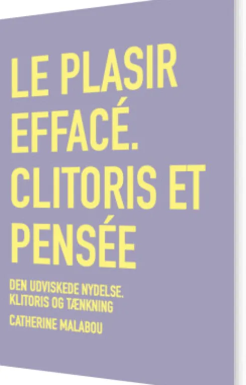 Den Udviskede Nydelse