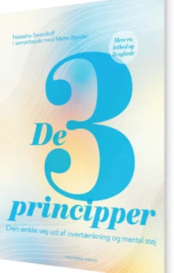 De 3 Principper