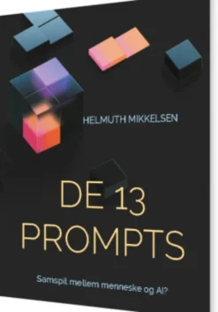 De 13 Prompts