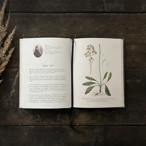 De Skabte Flora Danica