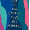 Det Er Om Natten Man Ser Nordlys