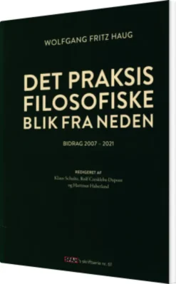 Det Praksisfilosofiske Blik Fra Neden