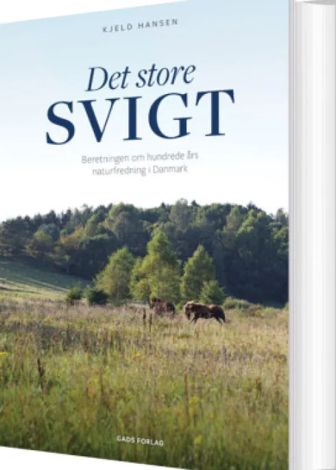 Det Store Svigt