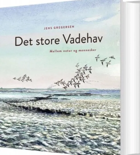 Det Store Vadehav