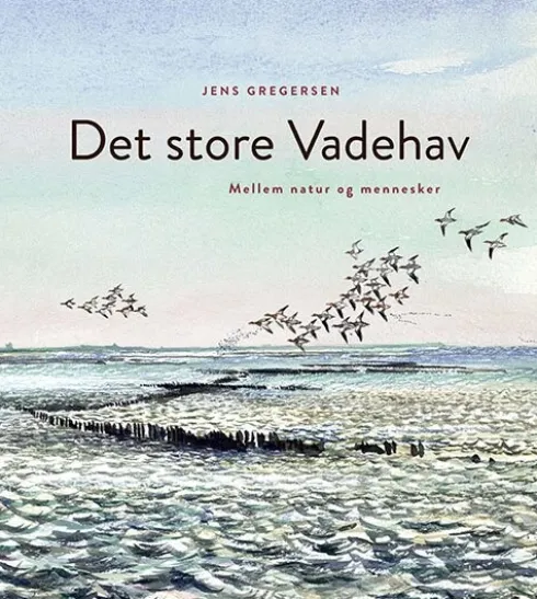 Det Store Vadehav