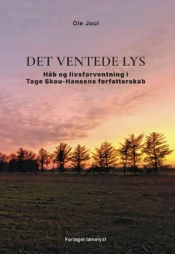 Det Ventede Lys