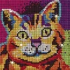 Diamond Art - Kat - 20 X 20 CM