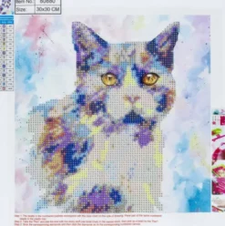 Diamond Painting - 30X30 CM - Kat