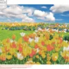 Diamond Painting - 30X40 CM - Tulipanmark