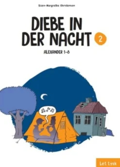 Diebe In Der Nacht