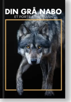 Din Grå Nabo