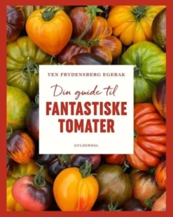 Din Guide Til Fantastiske Tomater