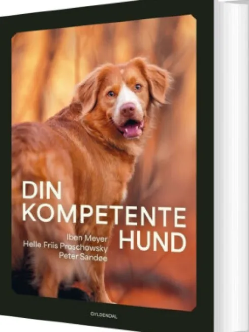 Din Kompetente Hund