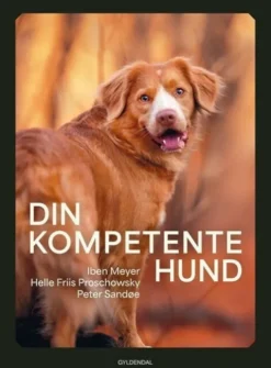 Din Kompetente Hund