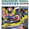 Dragon Ball Bind 18 - 4 Stk